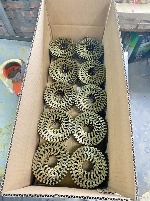 Đinh cuộn Tiến Mạnh